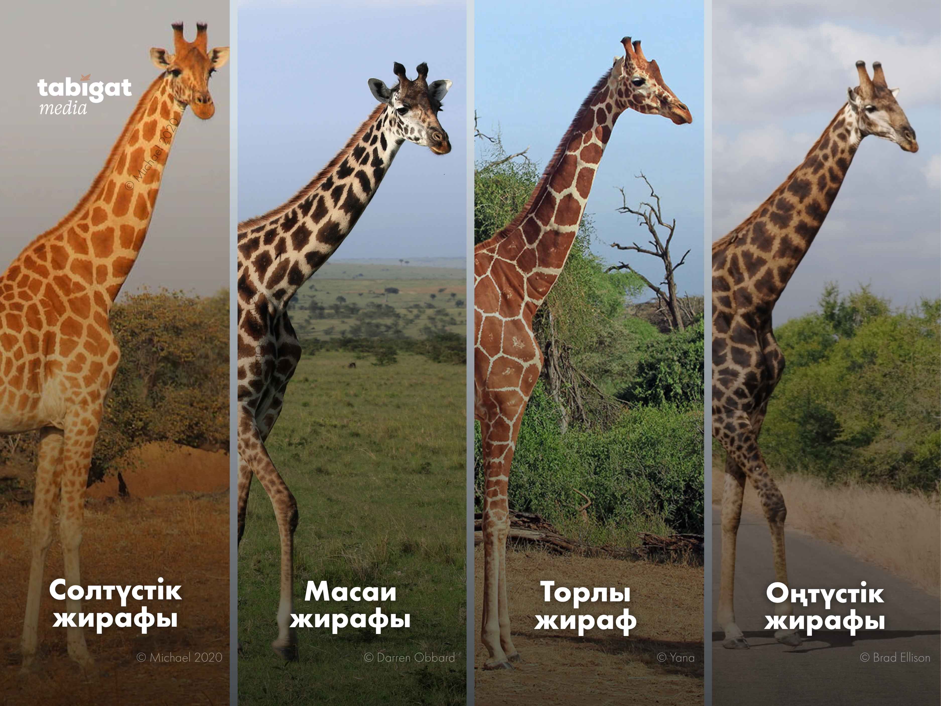 Елена Сент порно видео онлайн